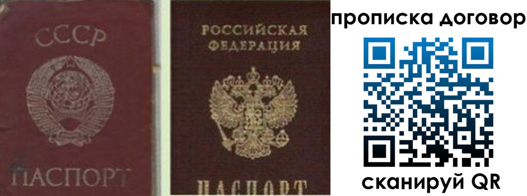 прописка гарантия в Дюртюли